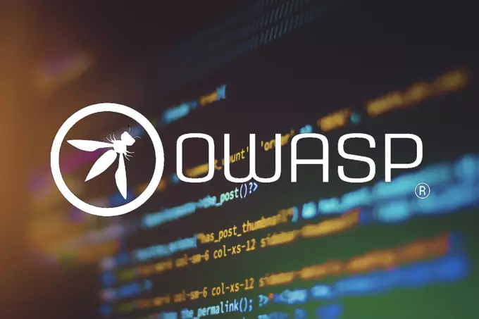 What is the OWASP Top 10?